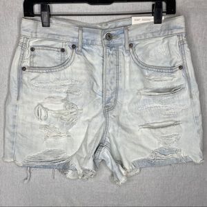 American Eagle 6 90’s Boyfriend Shorts Button Fly